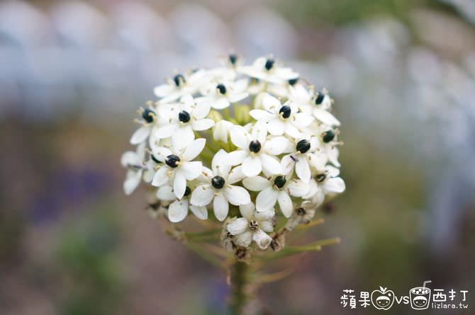 20250913-yzj3p