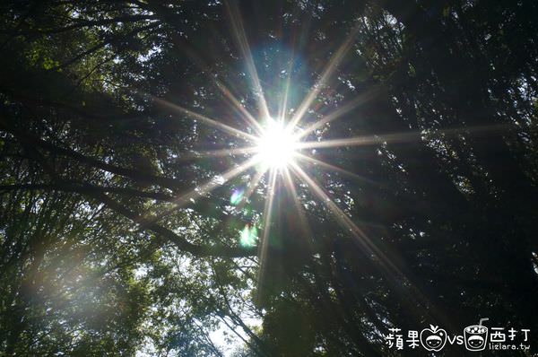 20250913-63jv4
