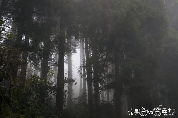 20250913-mstua