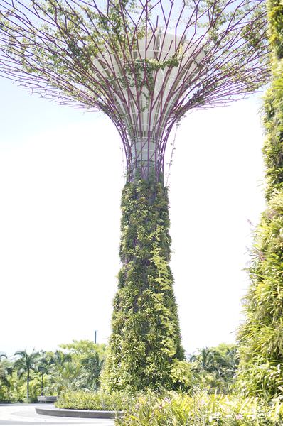 20250913-5po74