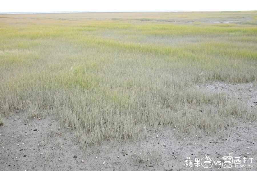 20250913-0f4qp