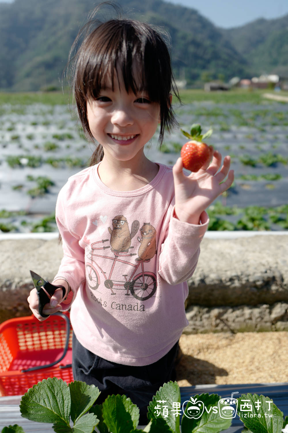 20250913-3yu1l